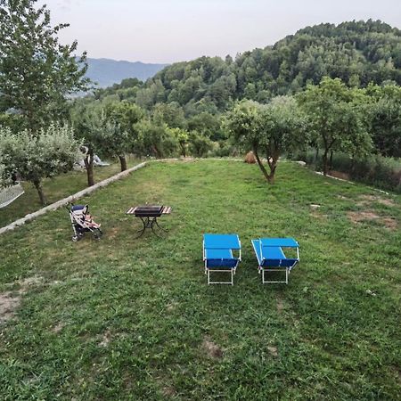 Vila Ella Βίλα Căpăţîneni-Ungureni Εξωτερικό φωτογραφία