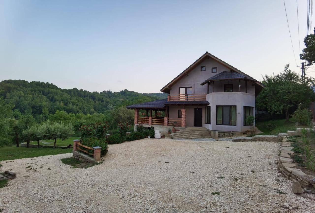 Vila Ella Βίλα Căpăţîneni-Ungureni Εξωτερικό φωτογραφία