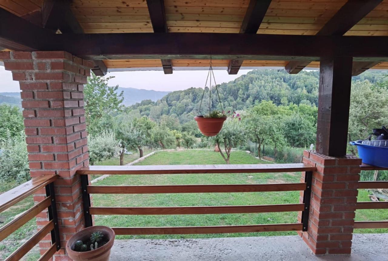 Vila Ella Βίλα Căpăţîneni-Ungureni Εξωτερικό φωτογραφία