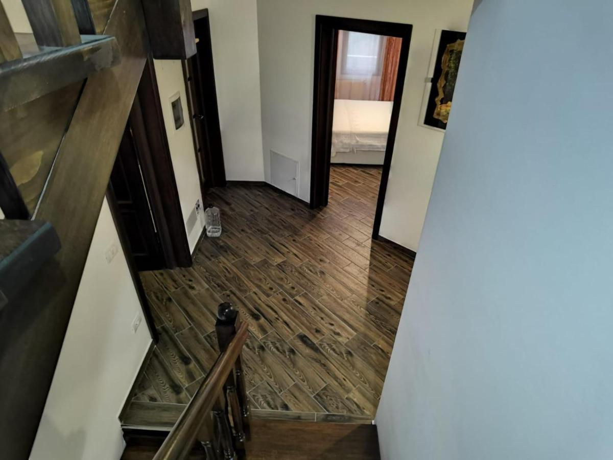 Vila Ella Βίλα Căpăţîneni-Ungureni Εξωτερικό φωτογραφία
